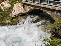 7DII0377ponte