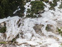 7DII0381salto