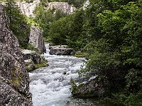 7DII0424toce