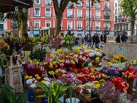 C7DL9522fiori