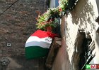 8  Tricolore
