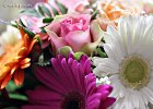 2  Rose e gerbere