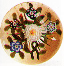 fermacarte