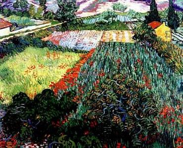 Vincent Van Gogh-Campo con papaveri-1889 - Olio su tela -Brema Kunsthalle