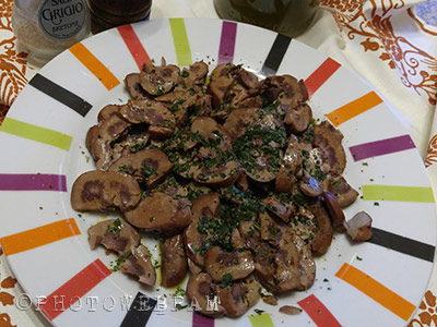 orecchia d'elefante