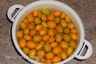 marmellata di kumquat