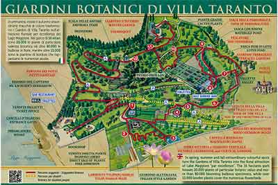 piantina