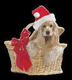 gif Natale
