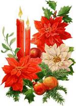 gif natale