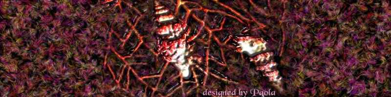 bordo conchiglie