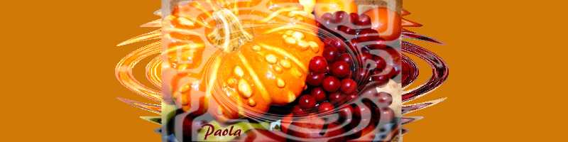 bordo zucca