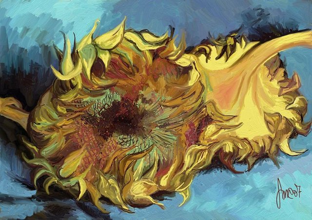 girasoli