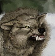lupo