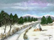 neve