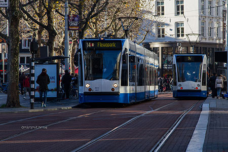 Amsterdam filobus Amsterdam locale