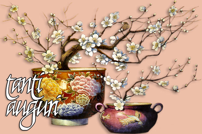 vasi fiori